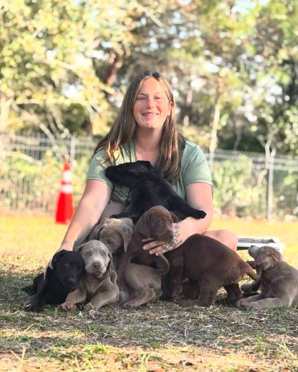 Trainer with dogs