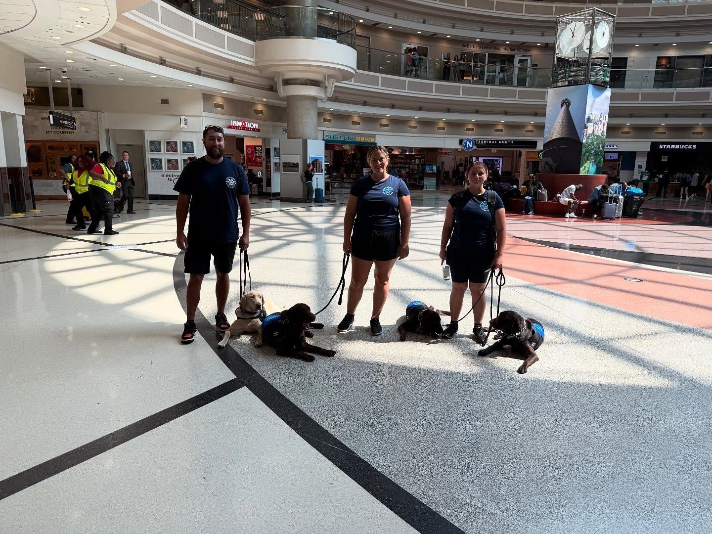 Service dogs working in public